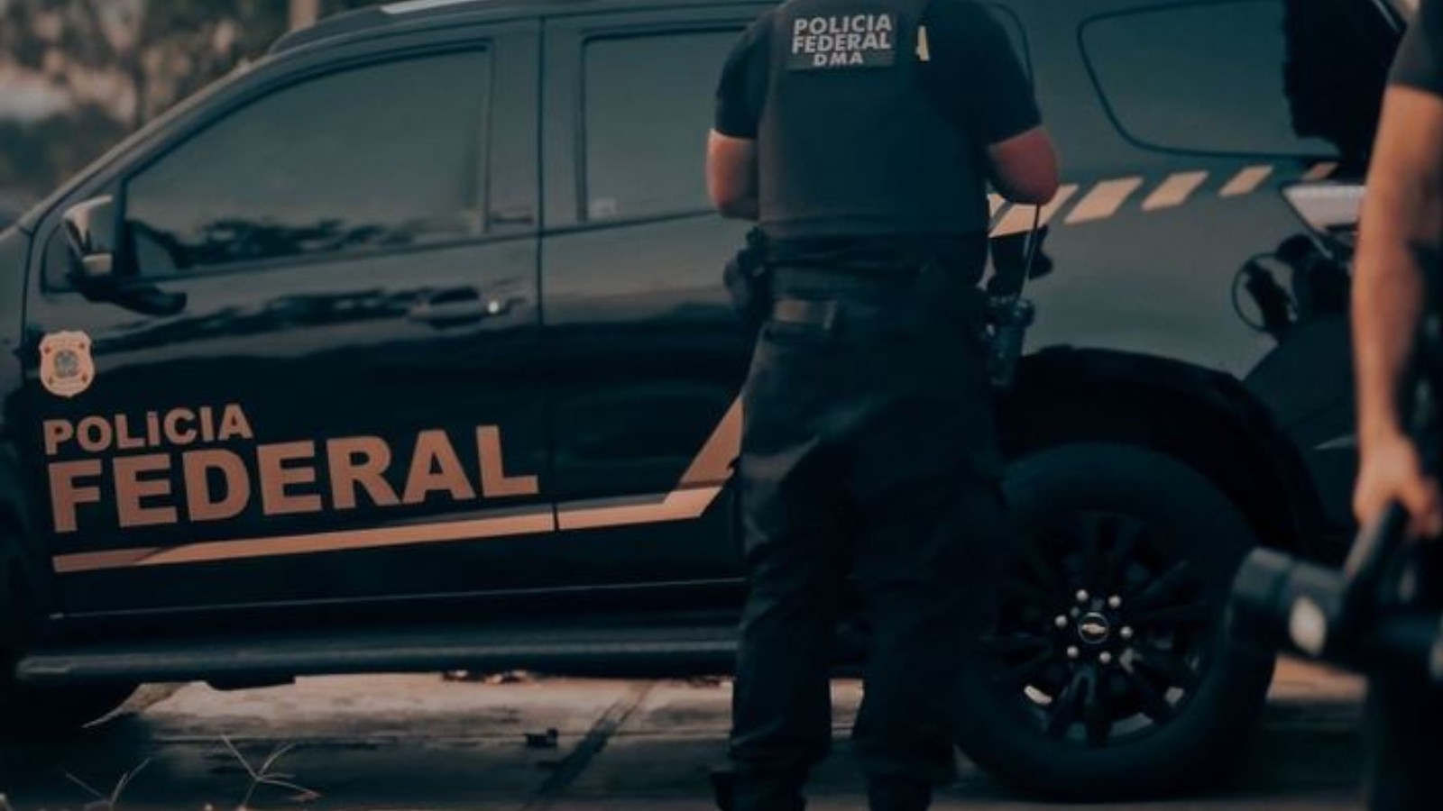 dpvat 2