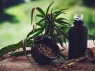 cbd ol 4470099