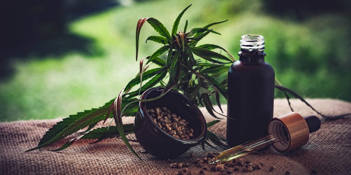 Associações de Cannabis pedem regras claras em meio à insegurança jurídica 1 cbd ol 4470099