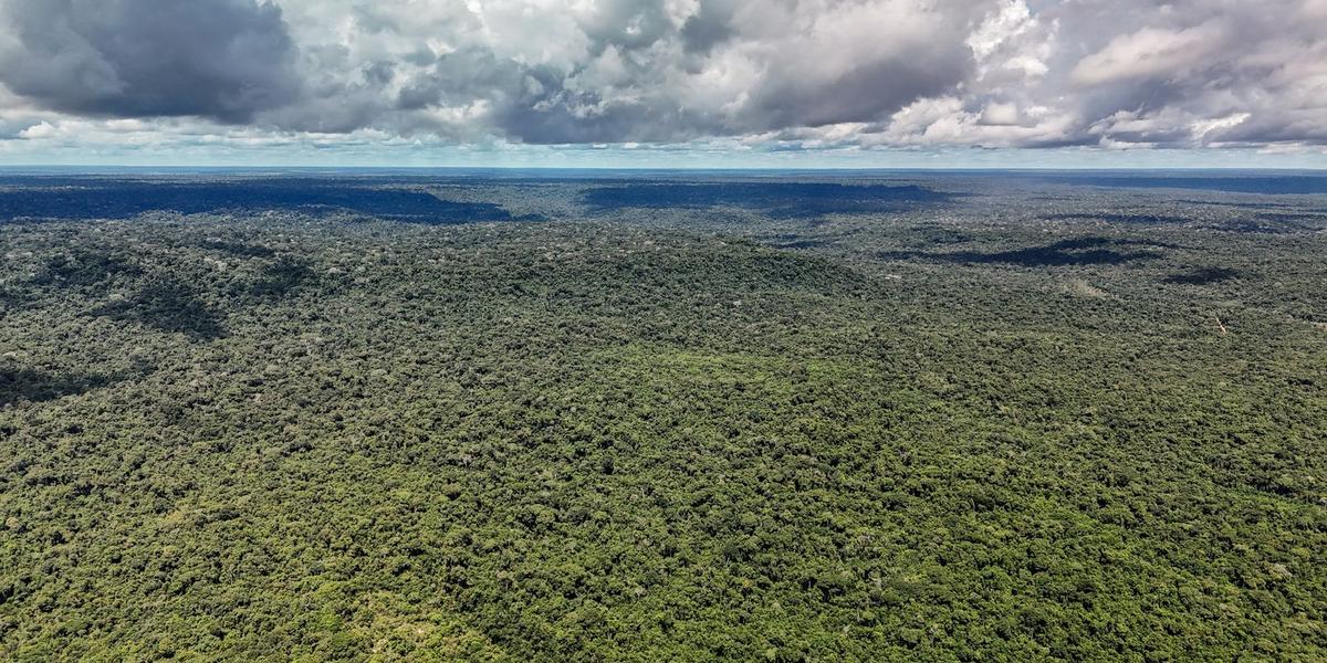 O colapso da 'máquina de chuvas': por que a destruição da Amazônia ameaça o clima no Brasil 1 dji 20260514133612 0223 d 55279773377 o 1