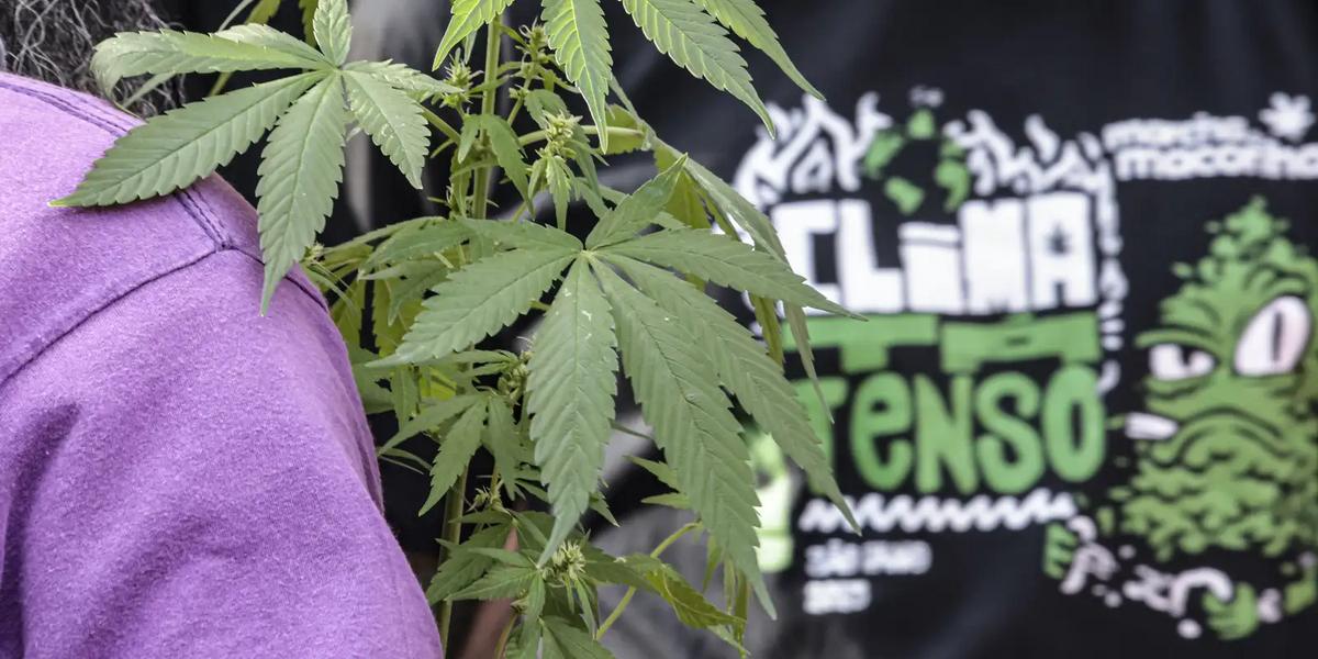 marcha maconha sp 07
