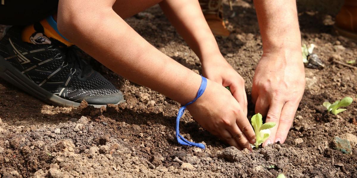 Entidades pressionam candidatos por compromisso com a agroecologia e segurança alimentar 1 rvsa abr 1409210332
