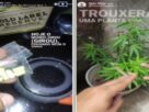 suspeitos vendiam as drogas por meio de aplicativo de mensagens